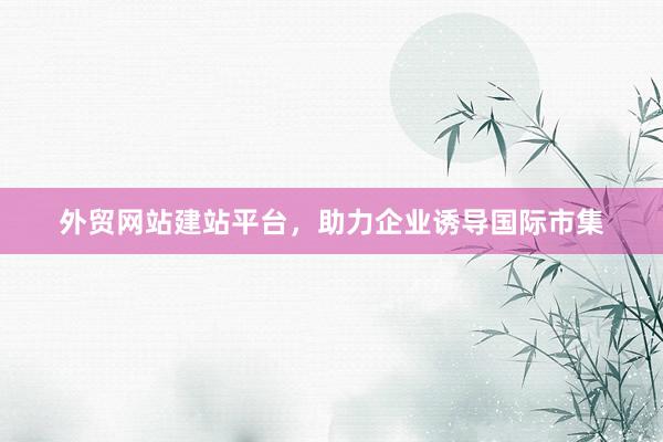 外贸网站建站平台，助力企业诱导国际市集