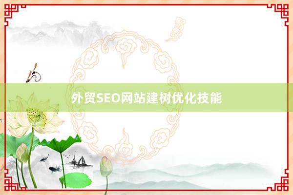 外贸SEO网站建树优化技能