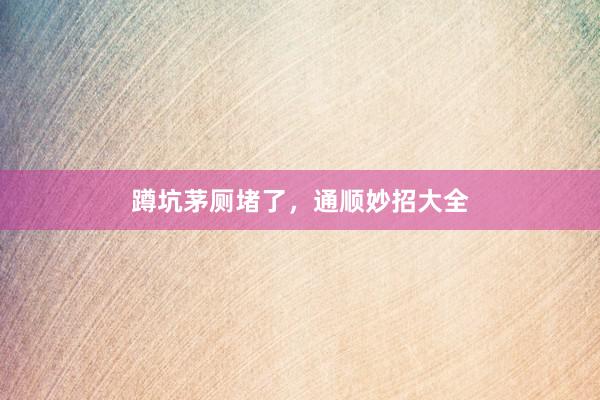 蹲坑茅厕堵了，通顺妙招大全